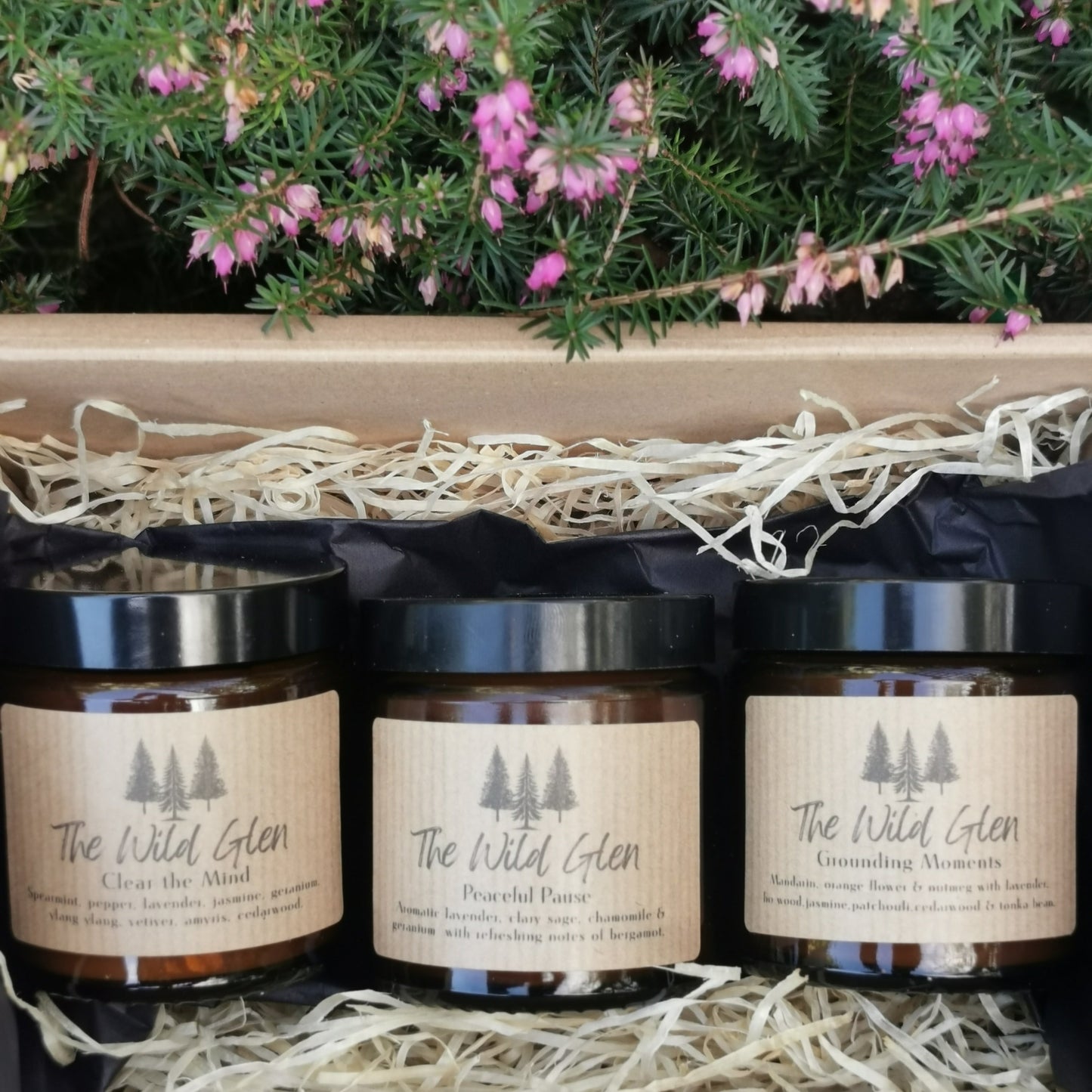 Wellness Collection - Essential Oils