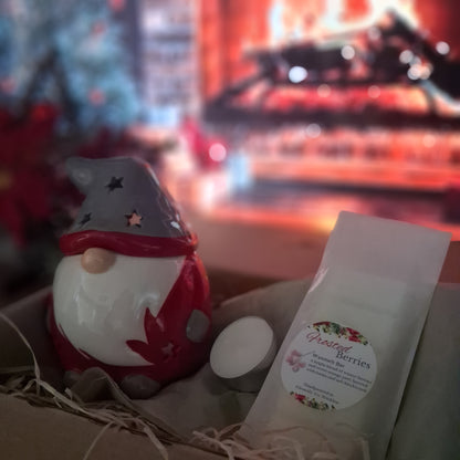Red and Grey Christmas Gonk Oil Burner & Festive Wax Melt Bar