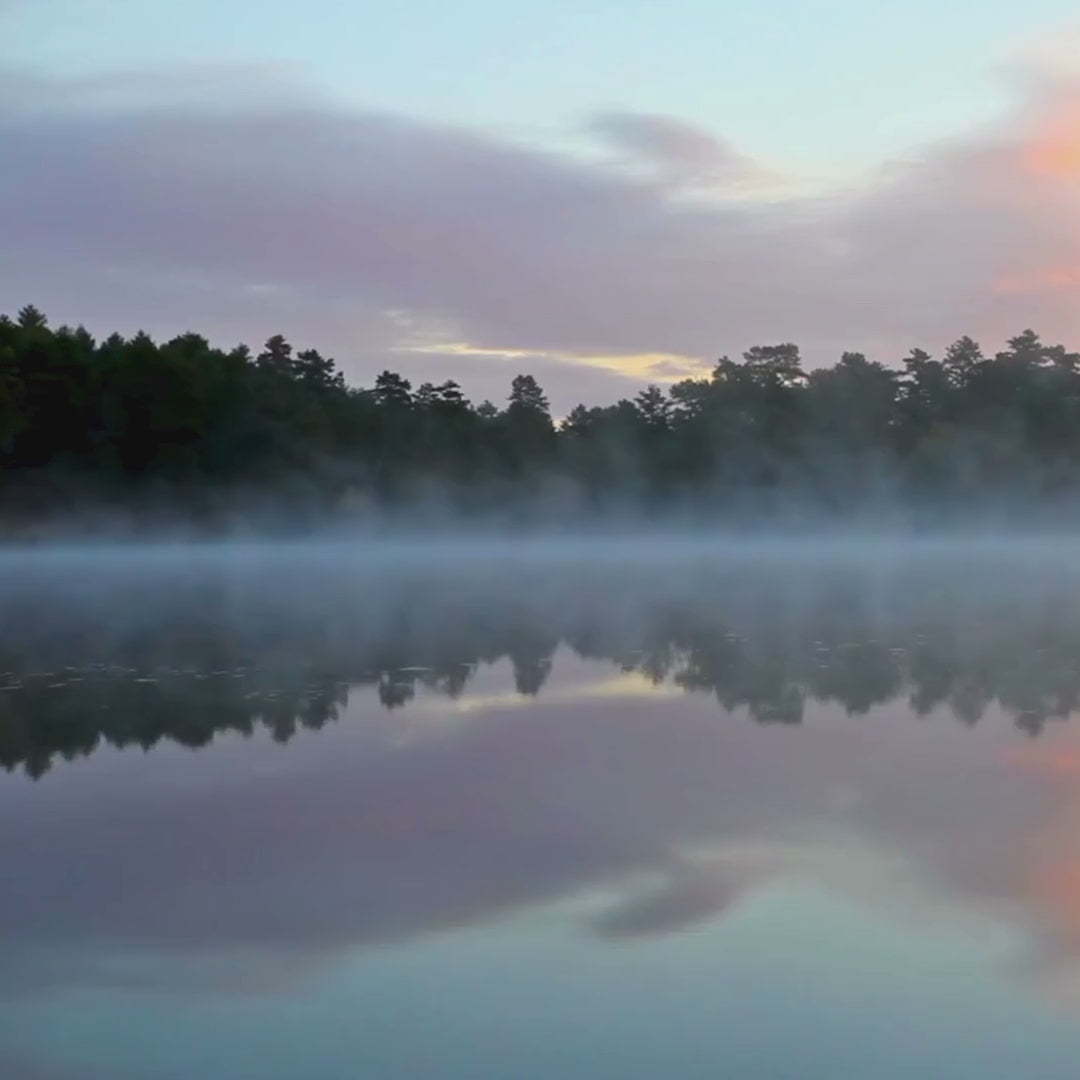 Autumn Morning Mist