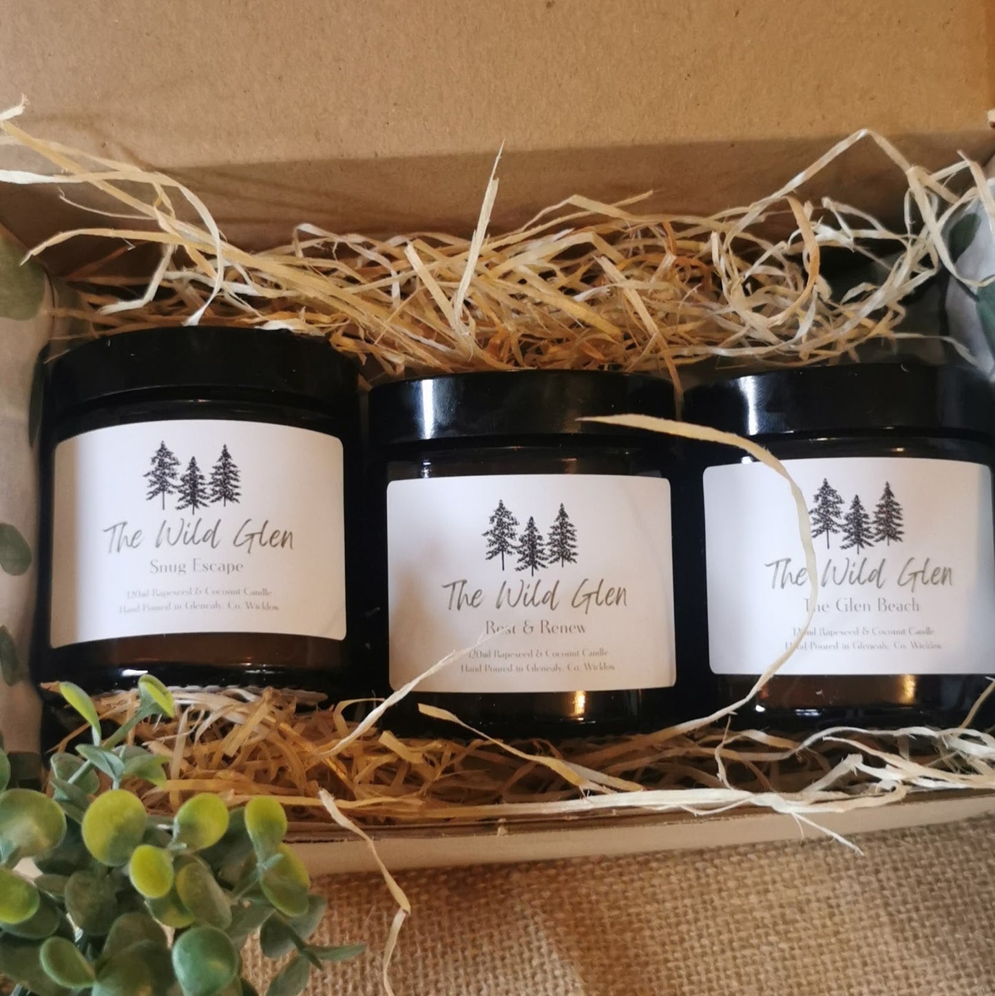 Serenity Collection Bundle of 3 - The Wild Glen